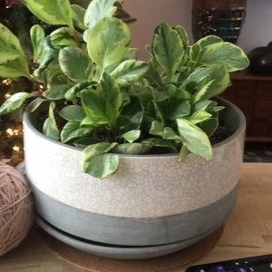 Meet your Posher, Marc